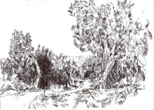 cy008.jpg
